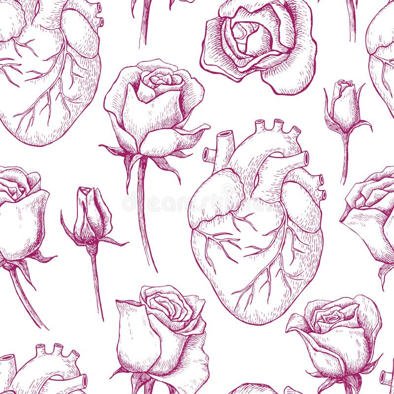 Anatomical Heart Seamless Stock Illustrations – 241 Anatomical Heart  Seamless Stock Illustrations, Vectors & Clipart - Dreamstime