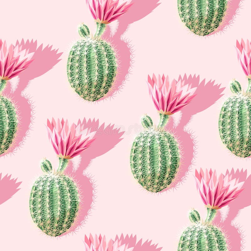 Cactus with Pink Flowers on the Light Background Stock Vector