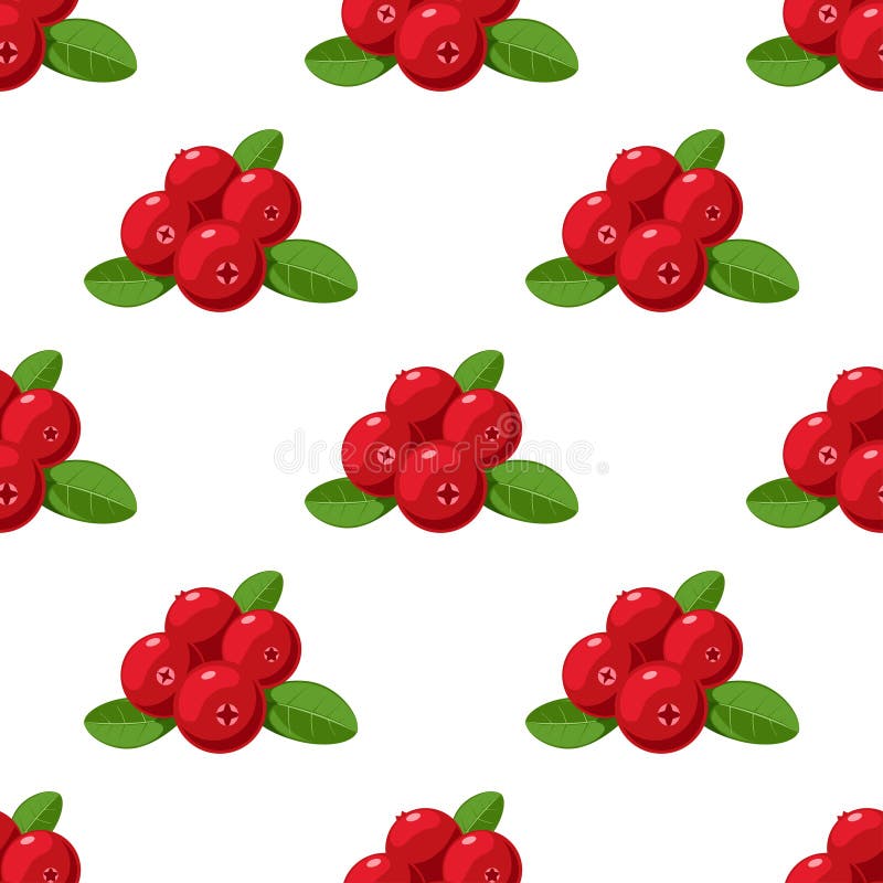 Vector seamless pattern. Cartoon cranberries with green leaves isolated on a white background. Cute illustration used for book, po