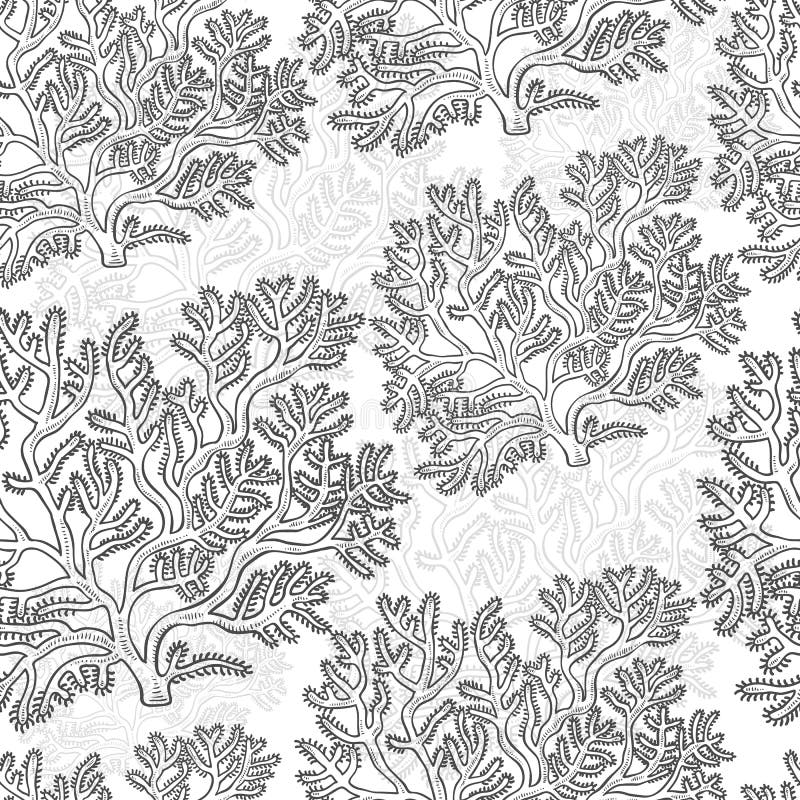 Vector seamless pattern corals. Polyps monochrome black white outline sketch illustration isolated on white background for design of tourist marine theme