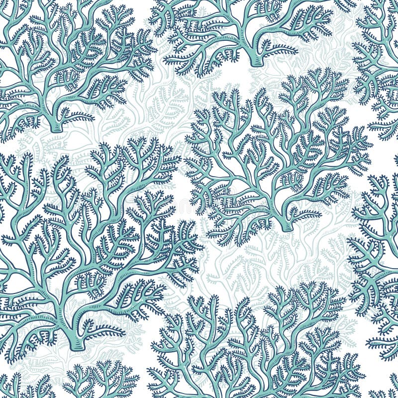 Vector seamless pattern corals. Polyps monochrome turquoise outline sketch illustration isolated on white background for design of tourist marine theme