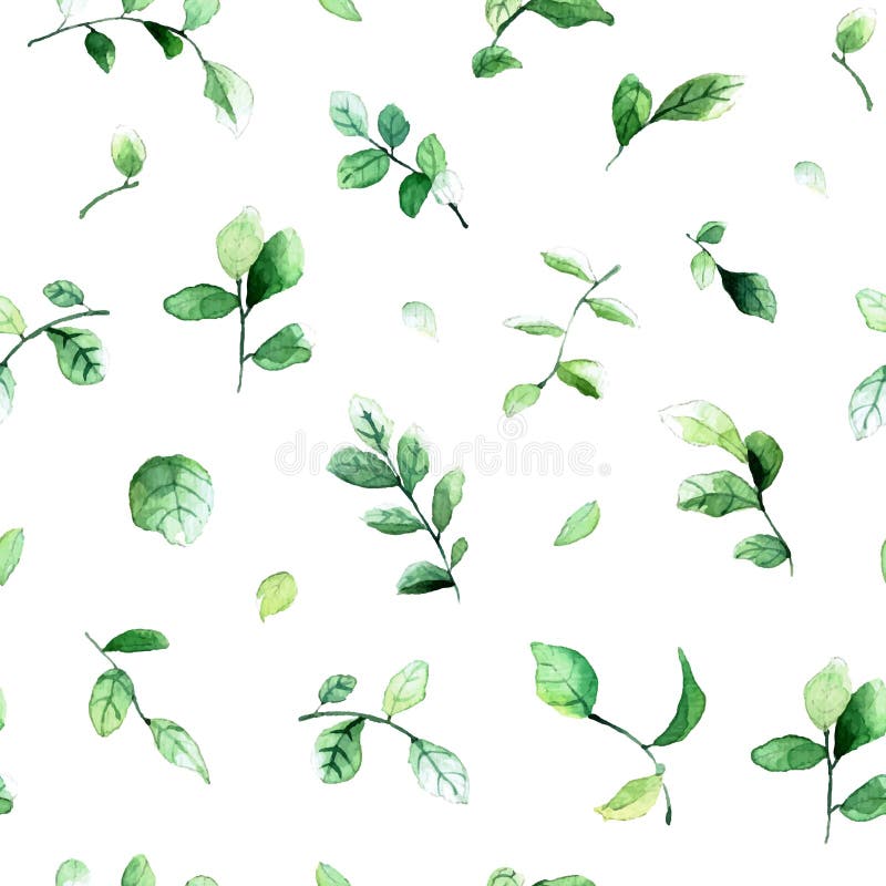 Vector seamless pattern with green leaves painted with watercolors on white background. vector illustration Vector seamless pattern with green leaves painted with watercolors on white background. vector illustration
