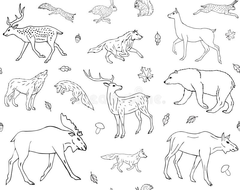 Vector Seamless Pattern of Hand Draw Forest Animal Stock Illustration ...