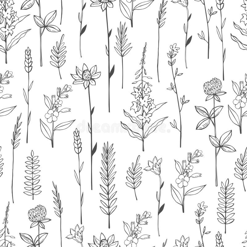 Vector pattern with wild herbs and flowers stock illustration Vector pattern with wild herbs and flowers stock illustration