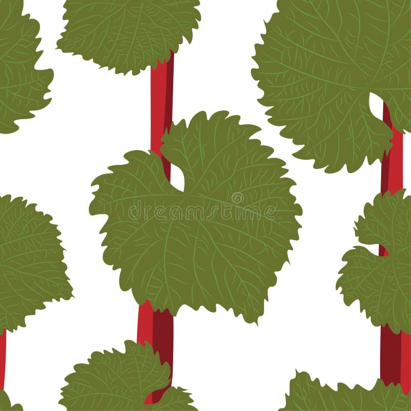 Vector seamless pattern with hand drawn wine grape leaves. Beautiful design elements, perfect for prints and patterns vector illustration Vector seamless pattern with hand drawn wine grape leaves. Beautiful design elements, perfect for prints and patterns vector illustration