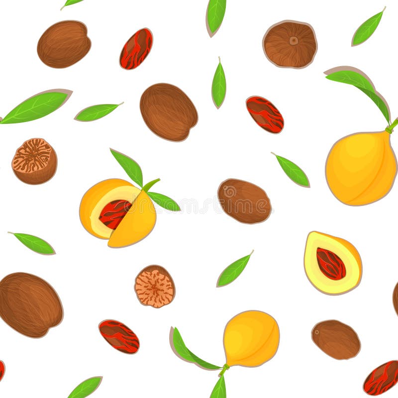 Nutmeg Stock Illustrations 8,474 Nutmeg Stock Illustrations, Vectors & Clipart Dreamstime