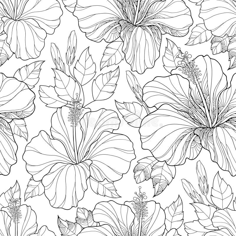 Vector seamless pattern with ornate Chinese Hibiscus flower, bud and leaves on the white background. Monochrome floral royalty free illustration