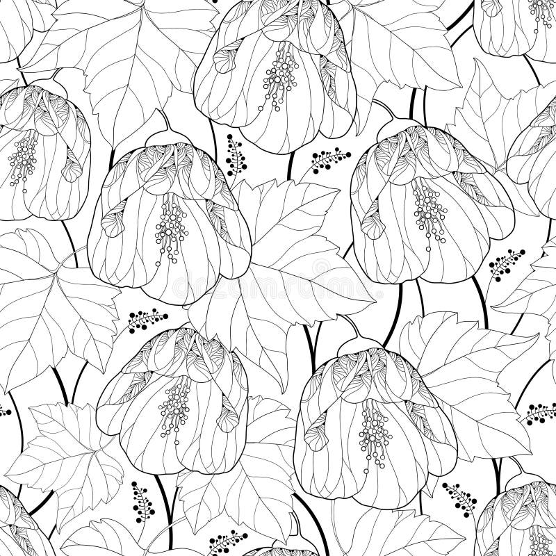 Vector seamless pattern with outline black Abutilon or Indian mallow flower and leaf on the white background. Floral background. stock illustration