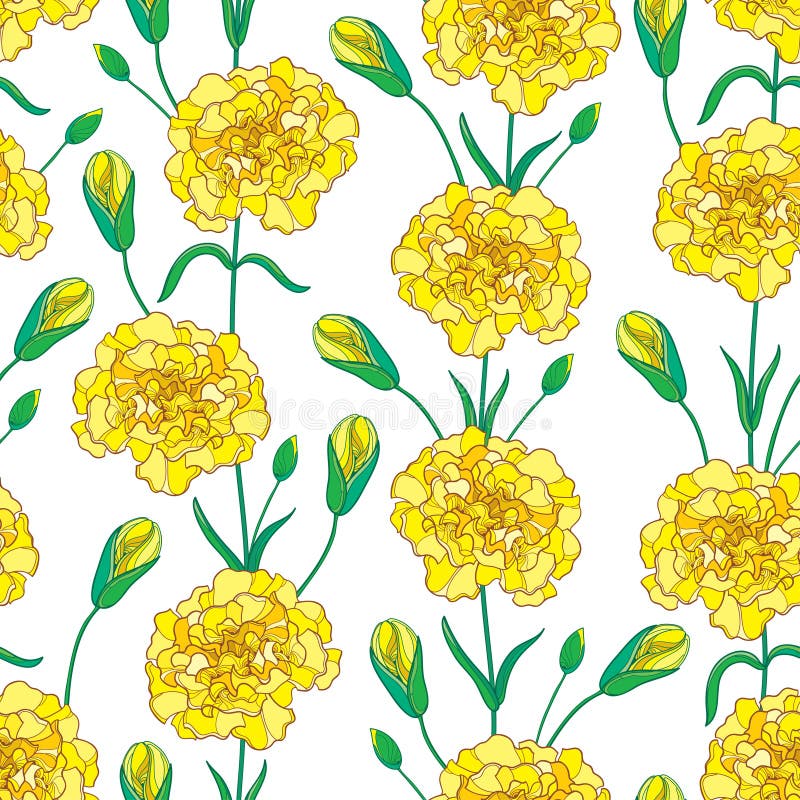 Vector seamless pattern with outline Carnation or Clove flowers, bud and leaves in yellow and green on the white background.