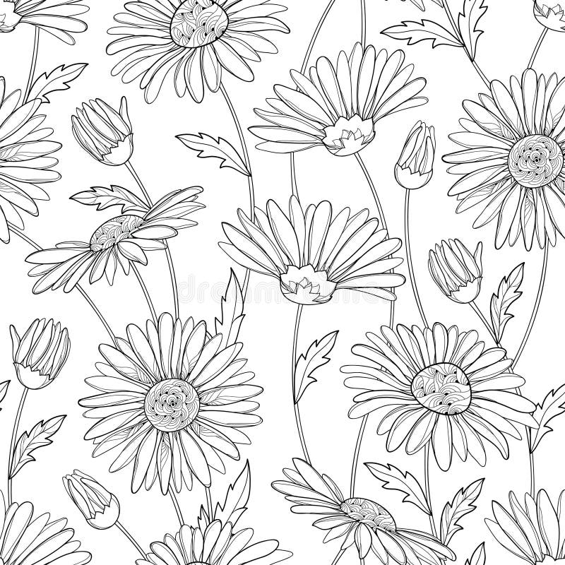 Vector seamless pattern with outline Chamomile flower, bud and leaves on the white background. Chamomile pattern in contour style. royalty free illustration