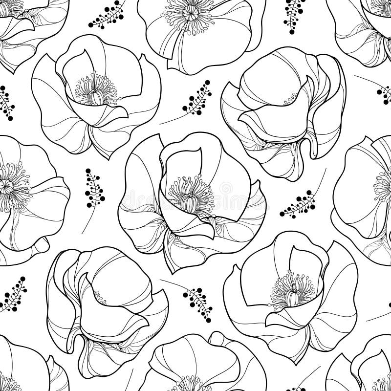 Vector seamless pattern with outline Poppy flower in black on the white background. Elegance background with ornate poppies. vector illustration