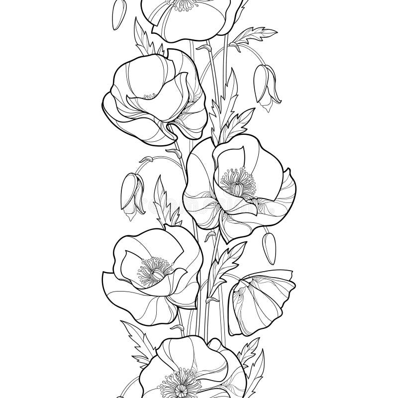 Vector seamless pattern with outline Poppy flower, bud and leaves in black on the white background. Vertical floral border. stock illustration