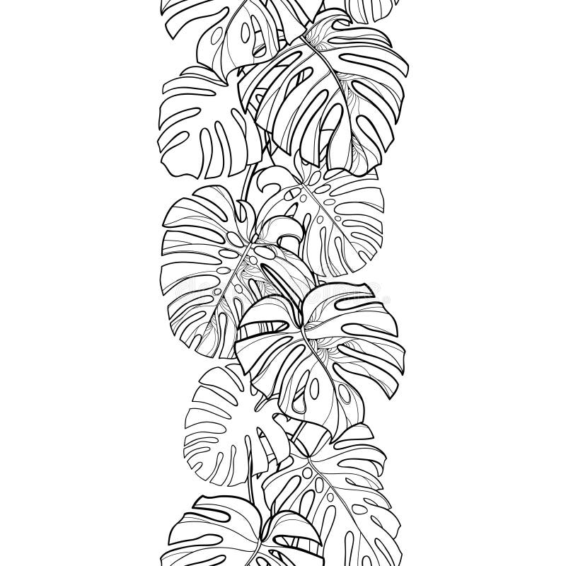 Vector seamless pattern with outline tropical Monstera or Swiss cheese plant leaf bunch in black on the white background. stock illustration