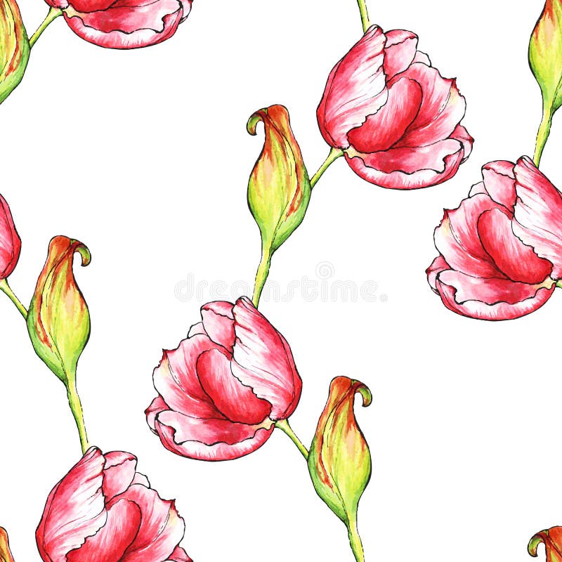 Vector seamless pattern with red tulips flowers