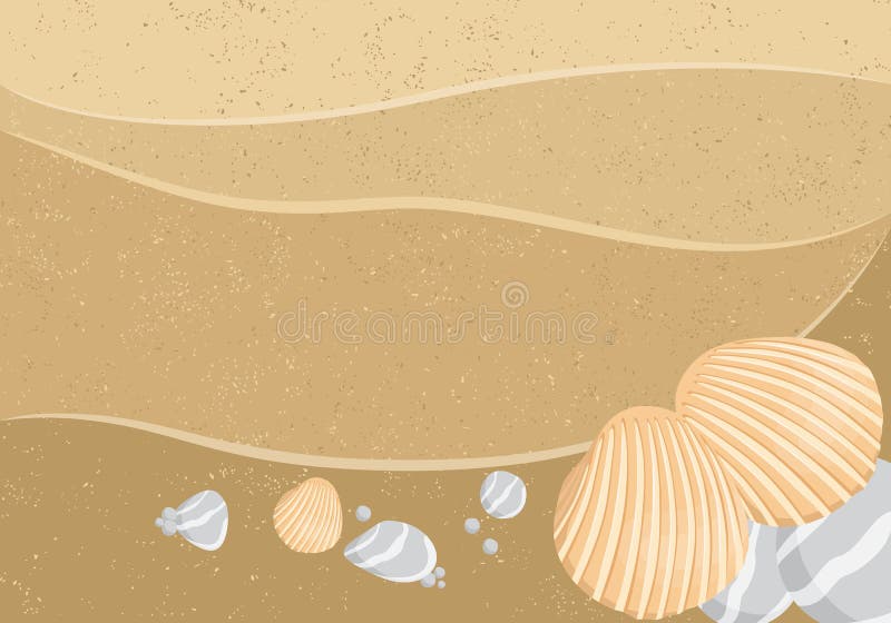 Vector seashells