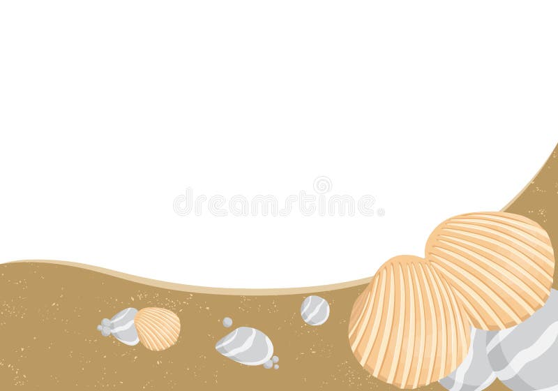 Vector seashells