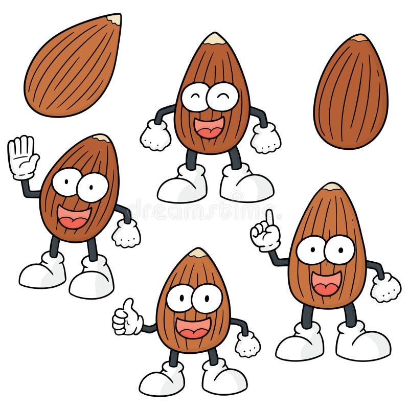 Vector Set of Almond Cartoon Stock Vector Illustration of simple