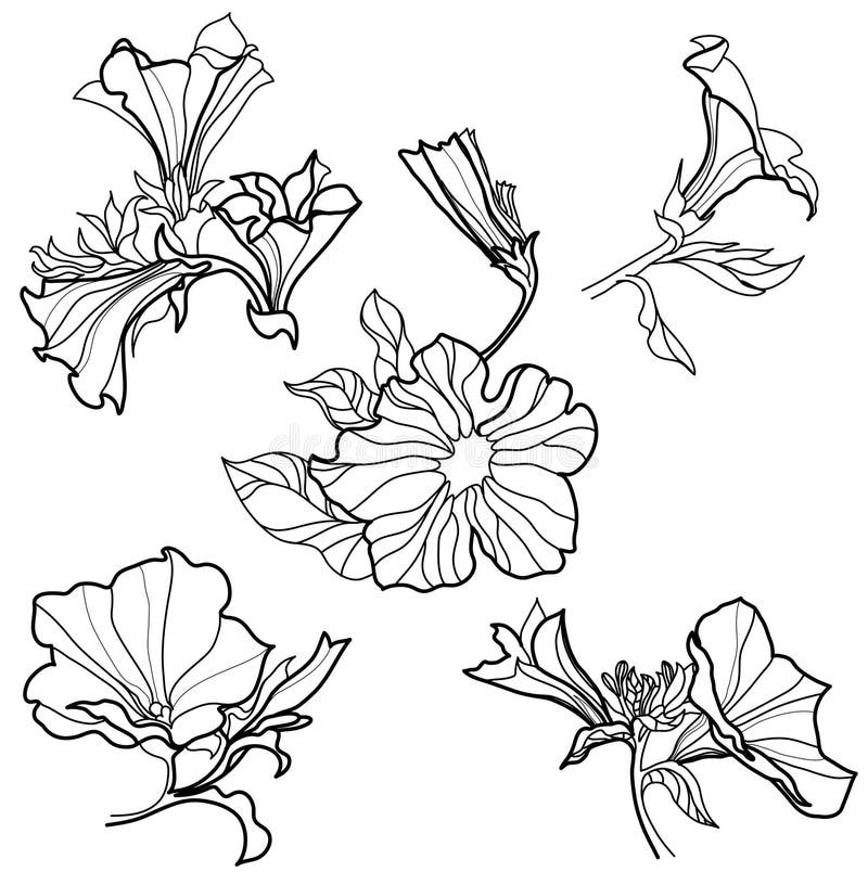 Vector set of bell-flowers