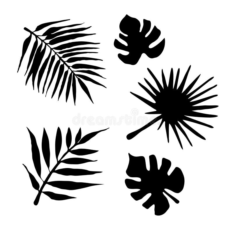 Vector set of black palm leaf silhouette isolated on white background.