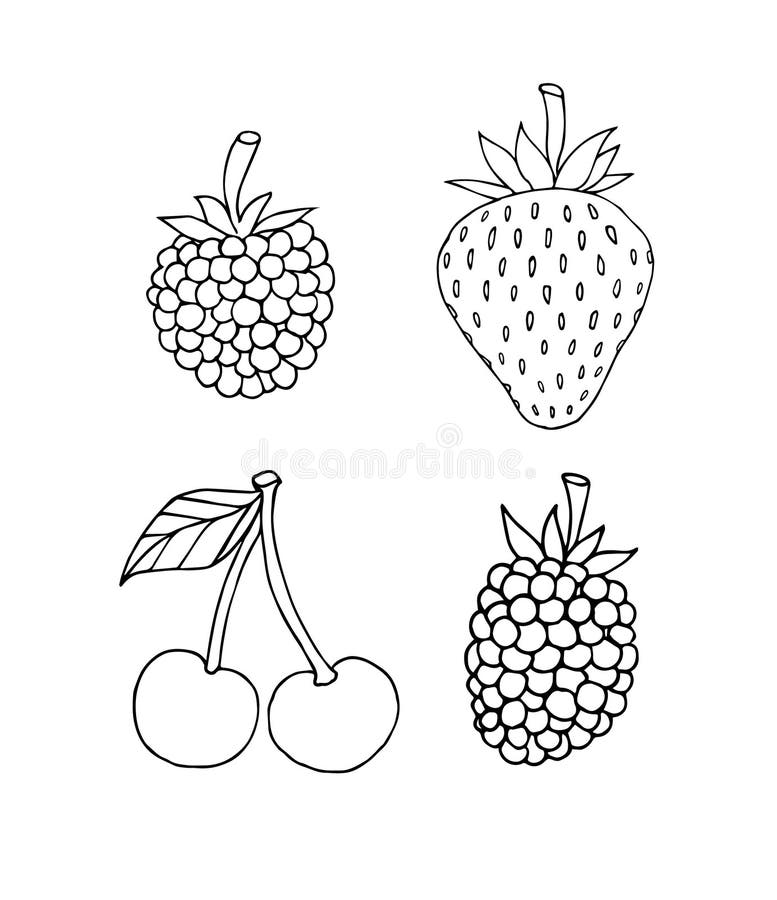Vector Set Bundle of Hand Drawn Sketch Berries Stock Illustration