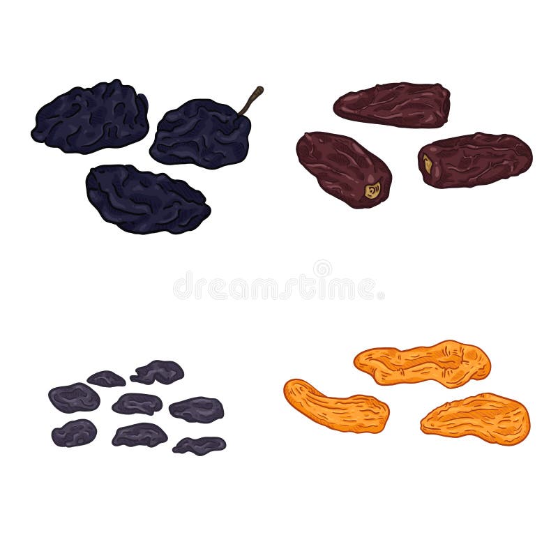 Dried Fruits and Nuts Set Vector Flat Isolated Illustration Stock ...