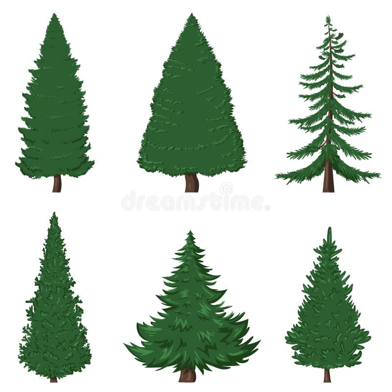 Draw Pine Trees Stock Illustrations 743 Draw Pine Trees Stock Illustrations Vectors Clipart Dreamstime