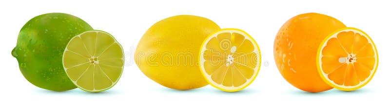 Vector set of citrus fruit lime, orange and lemon. Isolated sliced citrus on white background. Citrus halves