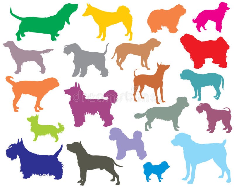 Vector set of colorful different breeds dogs silhouettes on white background. Part 5. Vector set of colorful different breeds dogs silhouettes on white background. Part 5