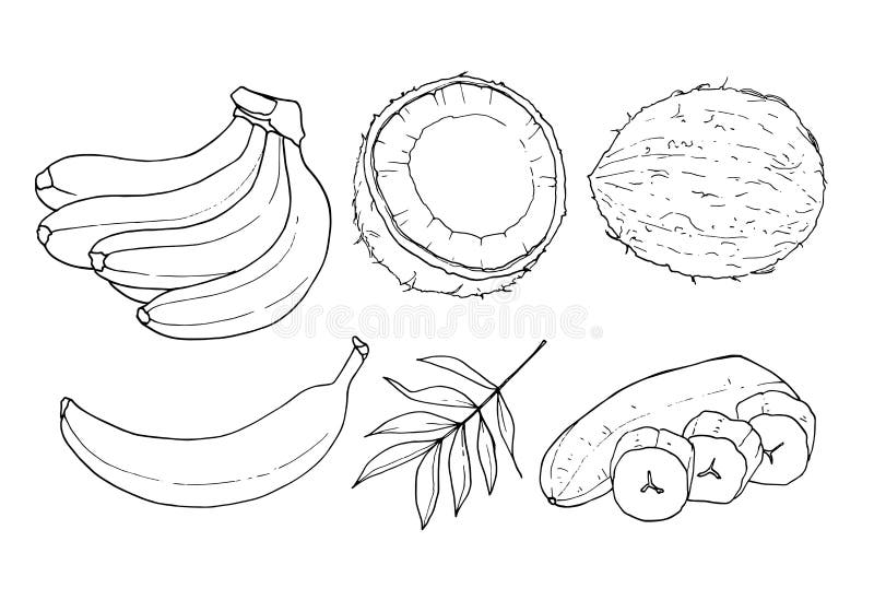 850  Coloring Pages Of Bananas  Free