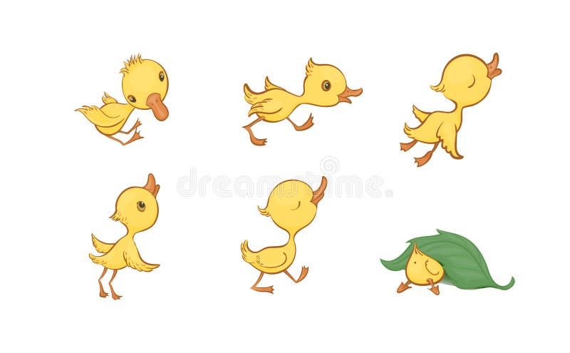 Vector Set of Cute Funny Yellow Cartoon Ducklings on a White Background Stock Vector - Illustration of purposeful, background: 158041927 Vector Set of Cute Funny Yellow Cartoon Ducklings on a White Background Stock Vector - Illustration of purposeful, background: 158041927