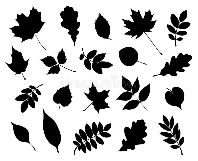 Vector Set Of Decorative Autumn Leaf Silhouettes. Stock Vector - Illustration Of Fall, Vector: 124554813 Vector Set Of Decorative Autumn Leaf Silhouettes. Stock Vector - Illustration Of Fall, Vector: 124554813