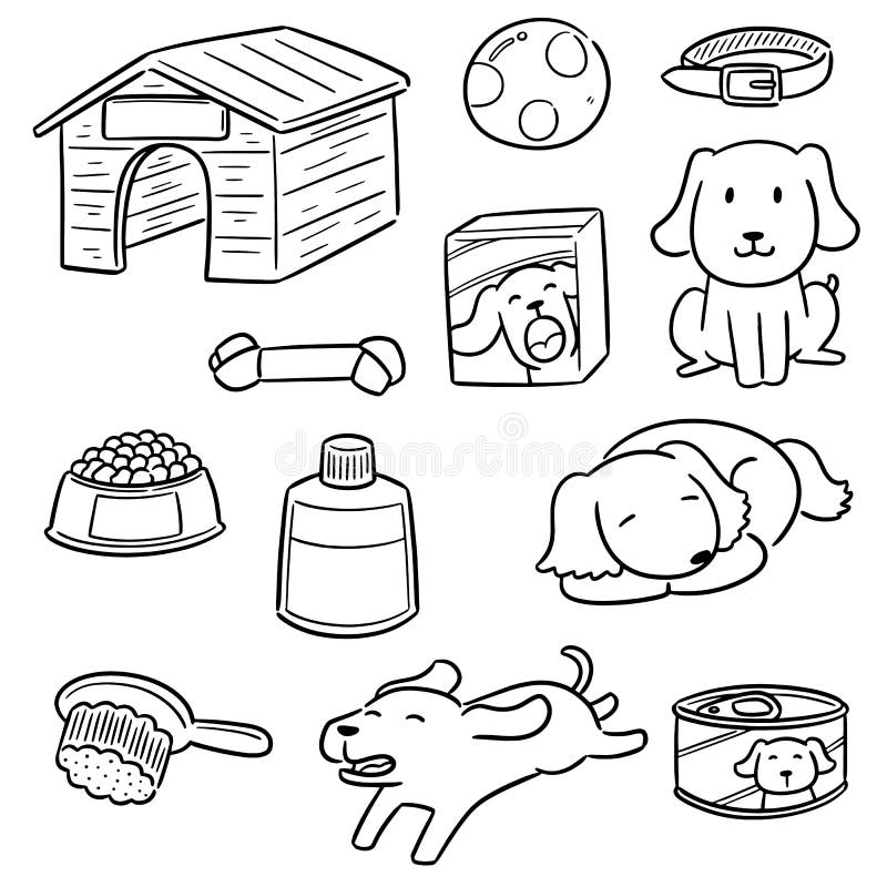 Vector Set of Dog Accessories Stock Vector Illustration of home