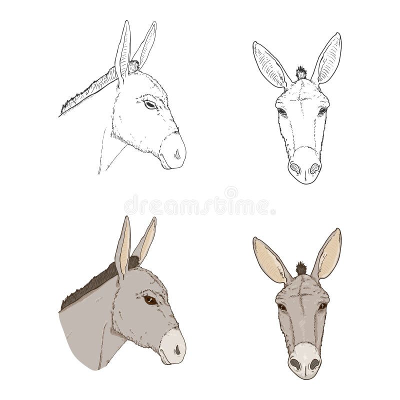 Donkey Head Stock Illustrations – 3,474 Donkey Head Stock Illustrations,  Vectors & Clipart - Dreamstime