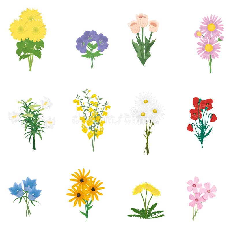 Vector Set of Garden and Meadow Flowers in Bouquets.a Collection of ...