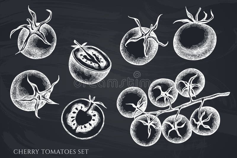 Vector Set of Hand Drawn Chalk Cherry Tomatoes Stock Vector