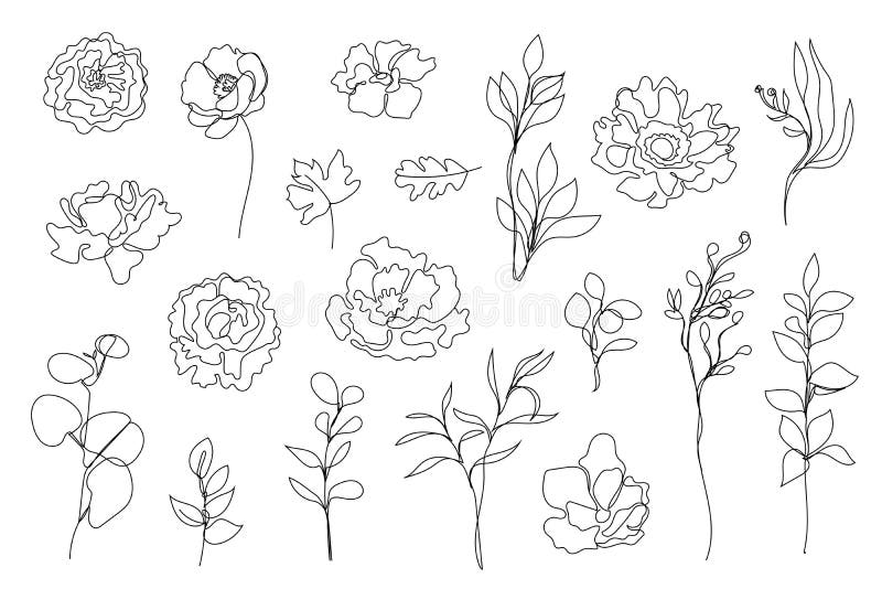 Vector set of hand drawn, single continuous line flowers, leaves. Art floral elements. Use for t-shirt prints, logos royalty free illustration