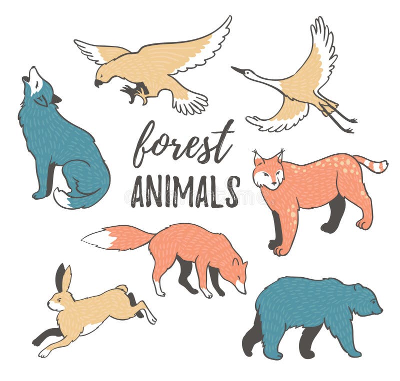 Vector set of hand drawn wild forest animals in hipster style. Collection of cartoon animals on the white background. vector illustration Vector set of hand drawn wild forest animals in hipster style. Collection of cartoon animals on the white background. vector illustration