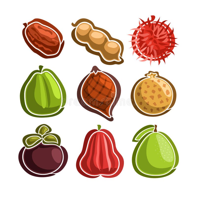 Vector Set icons of colorful exotic Fruits