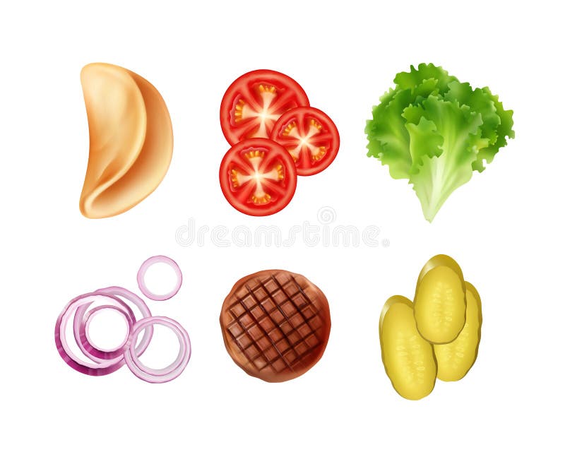 Vector set of ingredients for taco, tortilla including tomato, lettuce onion, patty and pickles isolated on background