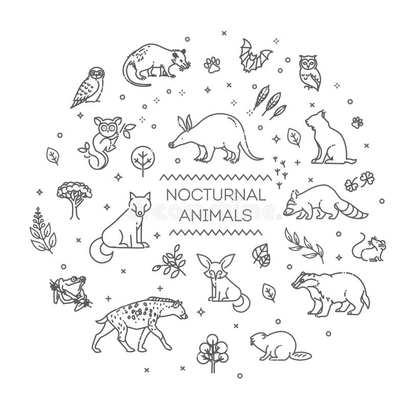 Vector. Set of Linear Vector Nocturnal Animals Stock Vector - Illustration  of bird, banner: 179048160