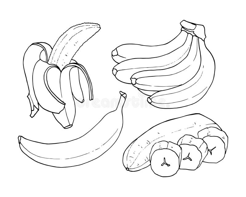 Banana Peel Coloring Page