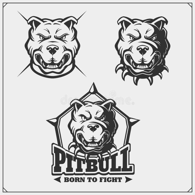 Vector Set of Pitbull Heads. Sport Club Emblems and Design Elements Stock  Vector - Illustration of label, bulldog: 119951521