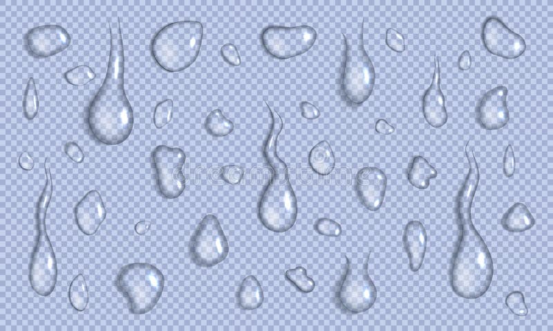 Vector set of realistic water drops and splash different sizes on a transparent background, condensation of rain, vector. royalty free illustration Vector set of realistic water drops and splash different sizes on a transparent background, condensation of rain, vector. royalty free illustration