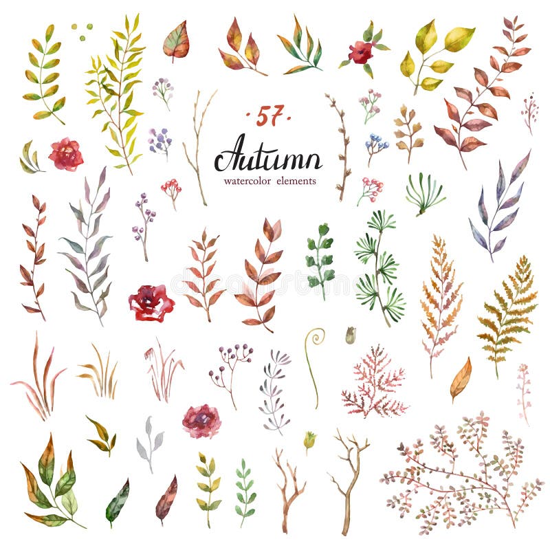 Vector Big Set of red autumn watercolor elements - herbs and leaf. Collection garden, wild foliage, flowers and branches. Illustration isolated on white background. Vector Big Set of red autumn watercolor elements - herbs and leaf. Collection garden, wild foliage, flowers and branches. Illustration isolated on white background