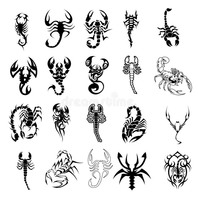 Tribal Drawings Of Scorpio - Scorpion Tattoos For Girls - Free Transparent  PNG Clipart Images Download