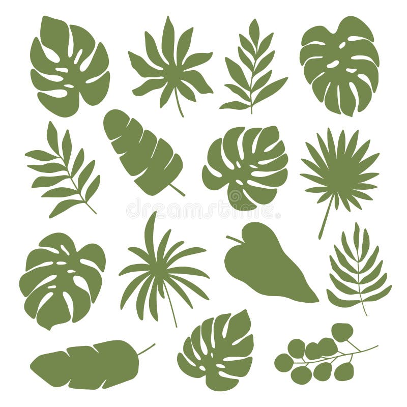 Eucalyptus Silhouette Set Stock Illustrations – 1,887 Eucalyptus ...