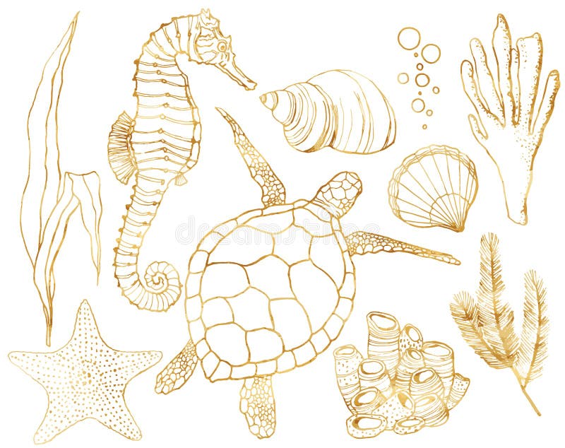 Vector Set with Underwater Animals and Coral Reef Plants. Hand Painted  Golden Turtle, Seahorse, Laminaria, Coral and Stock Vector - Illustration  of floral, marine: 152770412