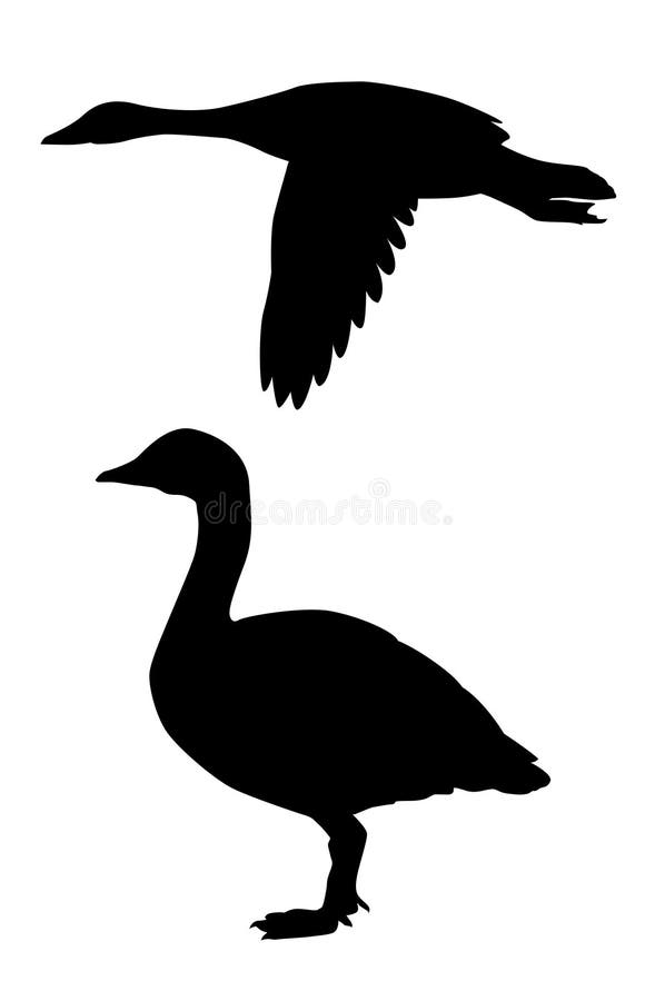 Vector silhouette goose