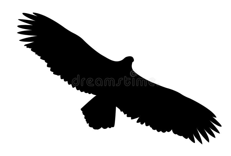 Vector silhouette of the ravenous bird