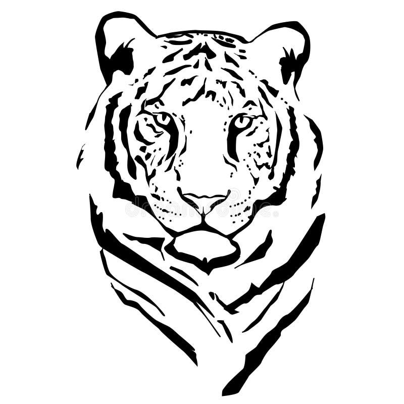 Tiger line art vector silhouette Stock Photo - Alamy